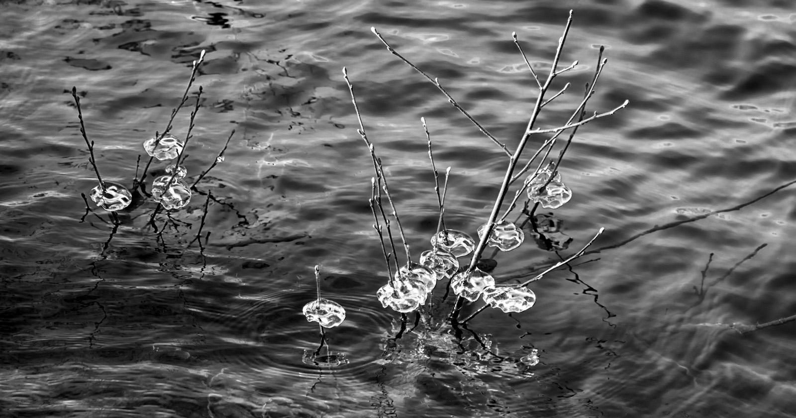 Nathalie Kalbé - Glace scintillante