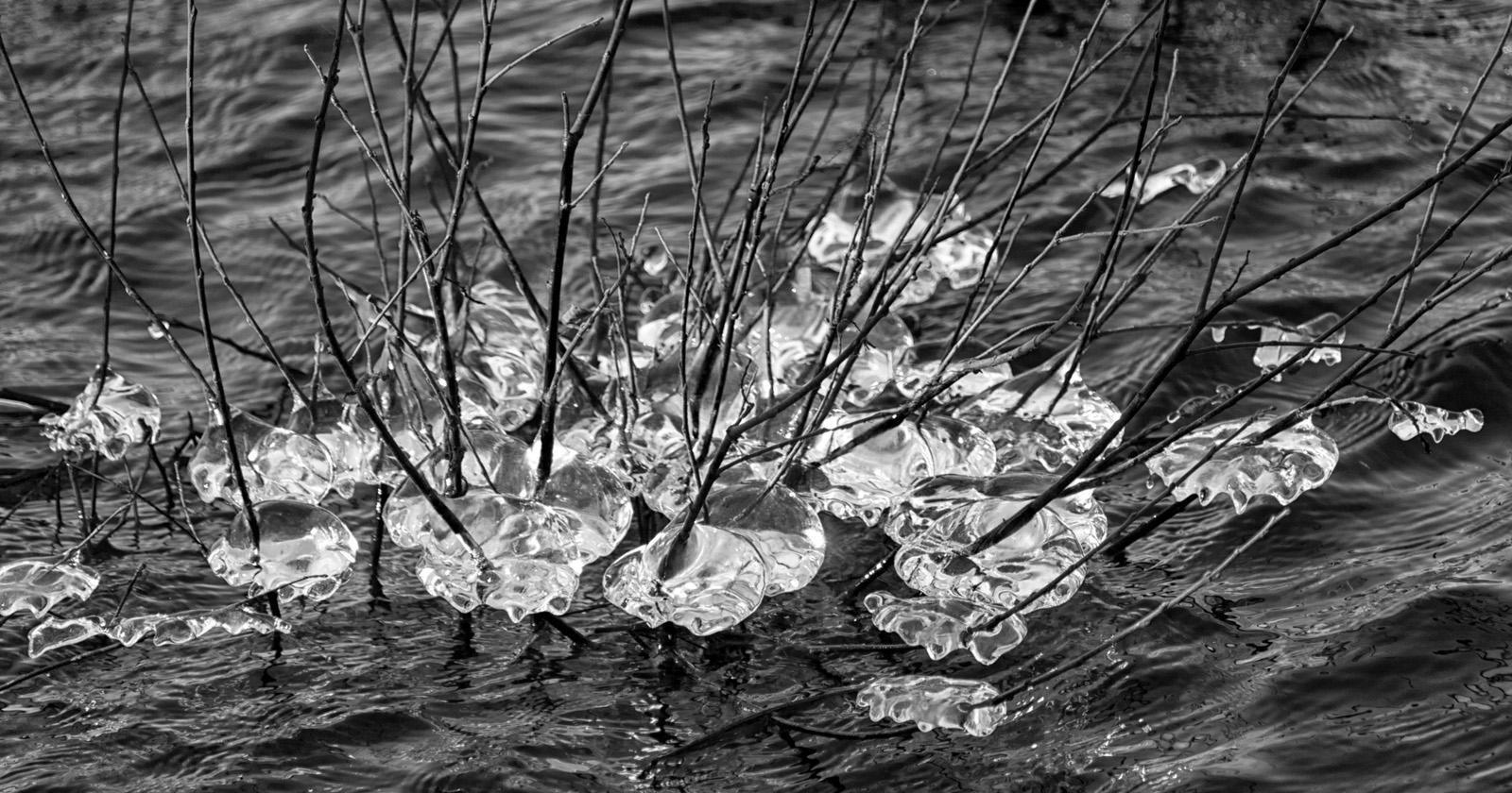 Nathalie Kalbé - Glace scintillante