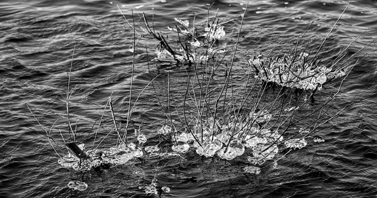 Nathalie Kalbé - Glace scintillante