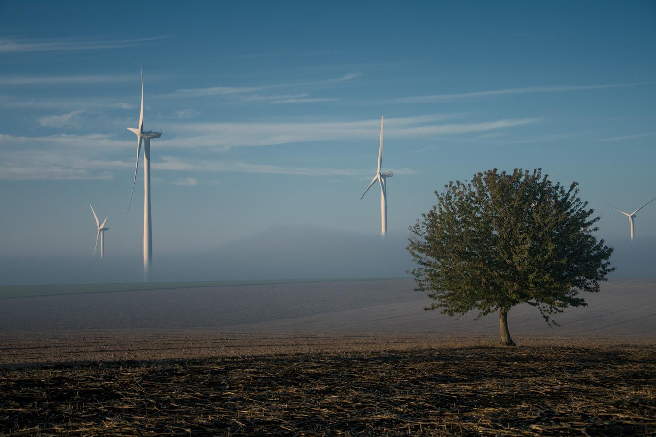 Patrick Picard - Brumes matinales
