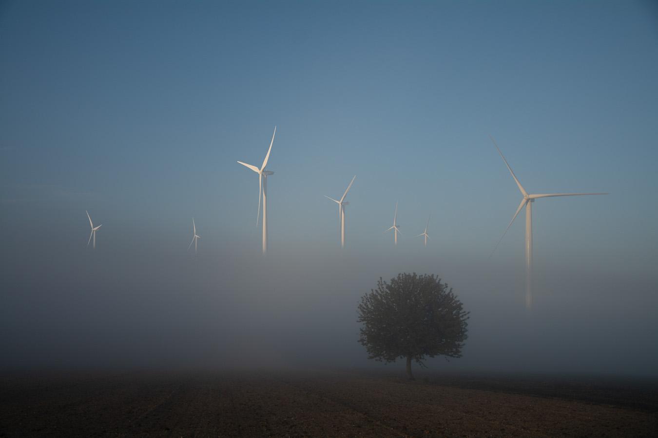 Patrick Picard - Brumes matinales