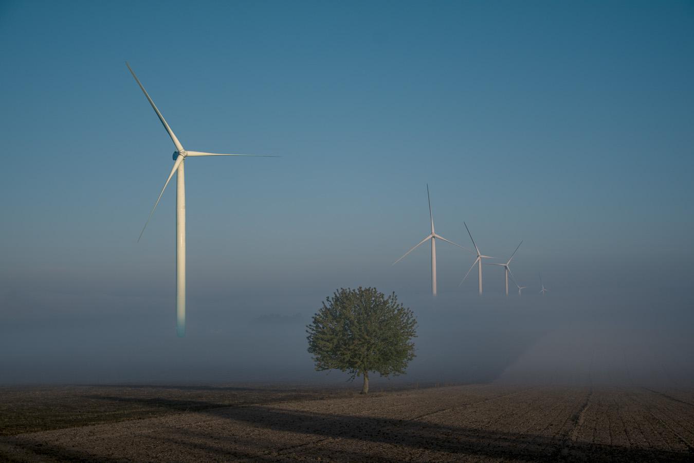 Patrick Picard - Brumes matinales