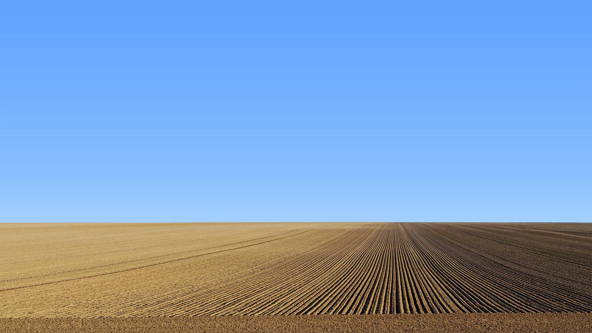 Philippe Antropius - Culture