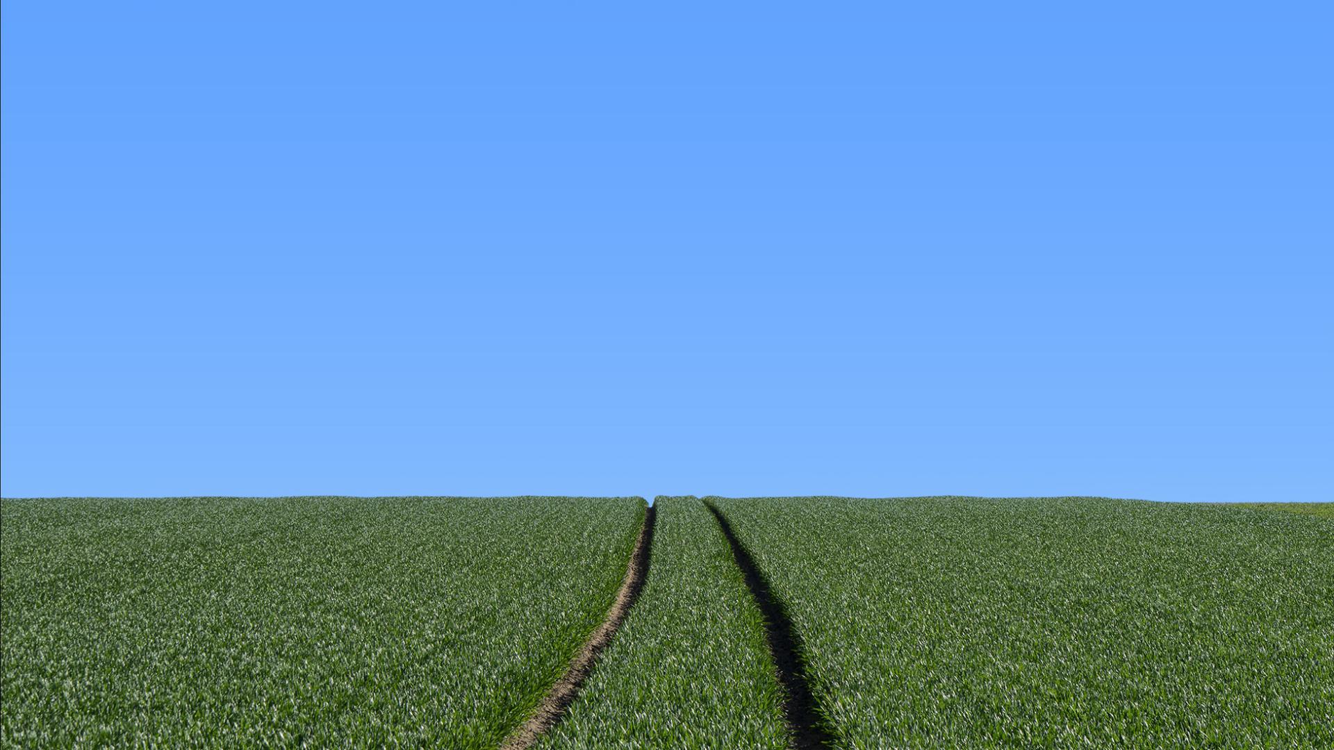 Philippe Antropius - Culture