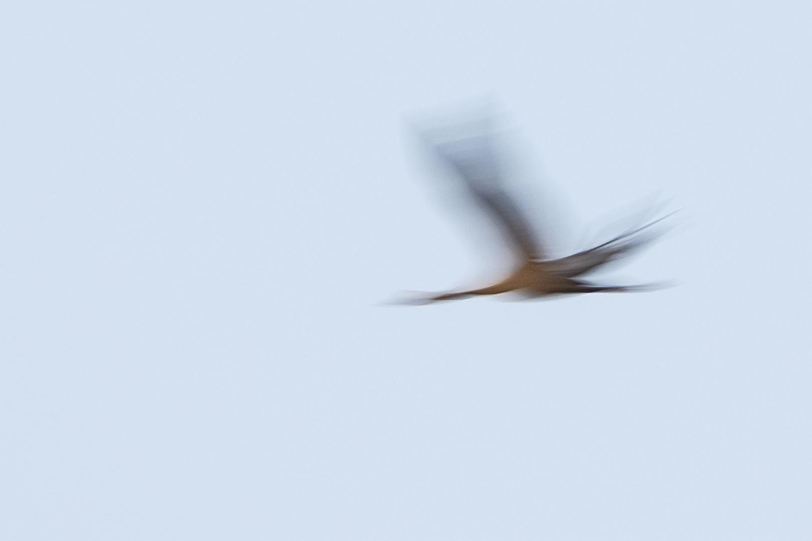 Gérard Guillaume - Tryptique volant - 3