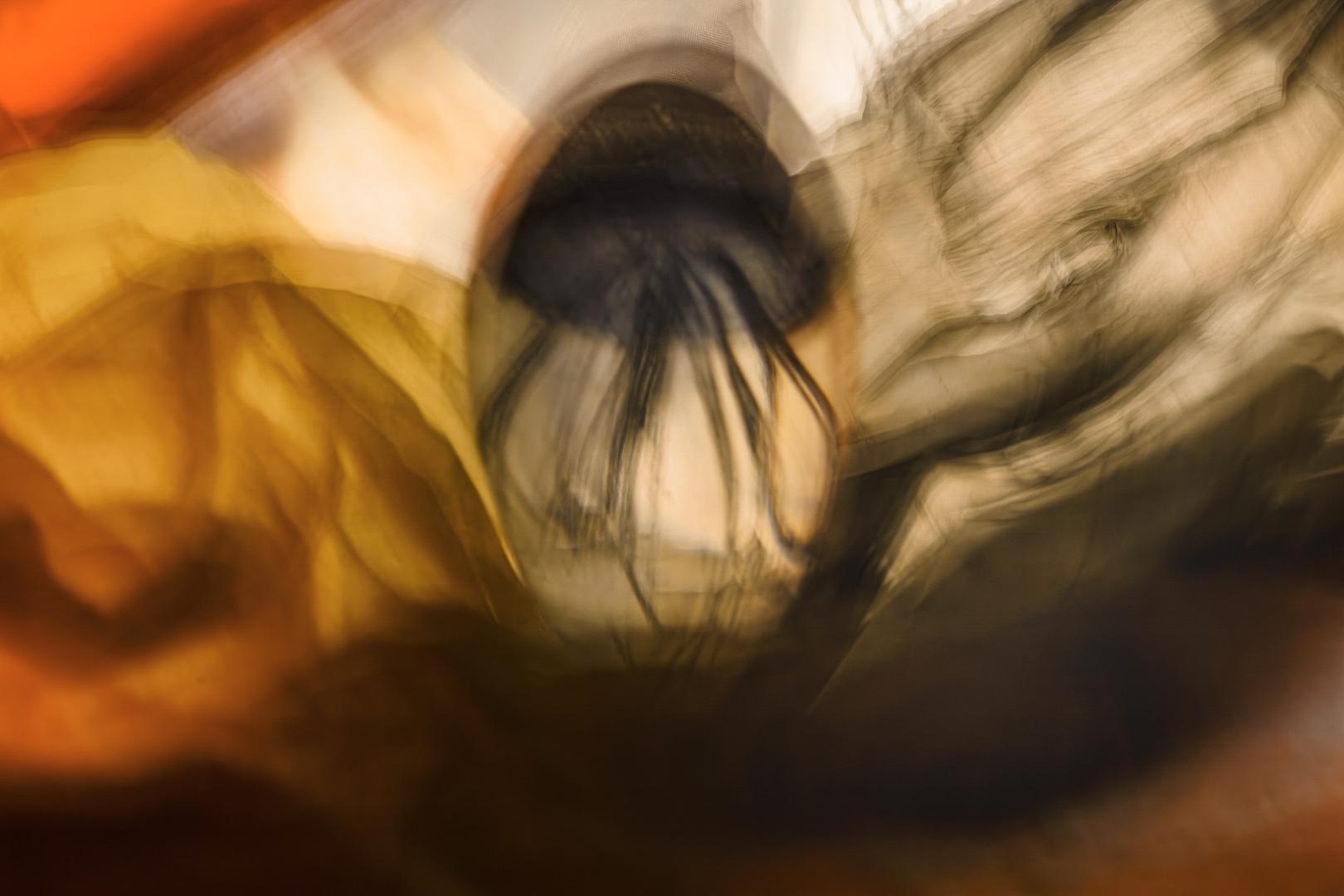 Philippe Loiseau - Chimère