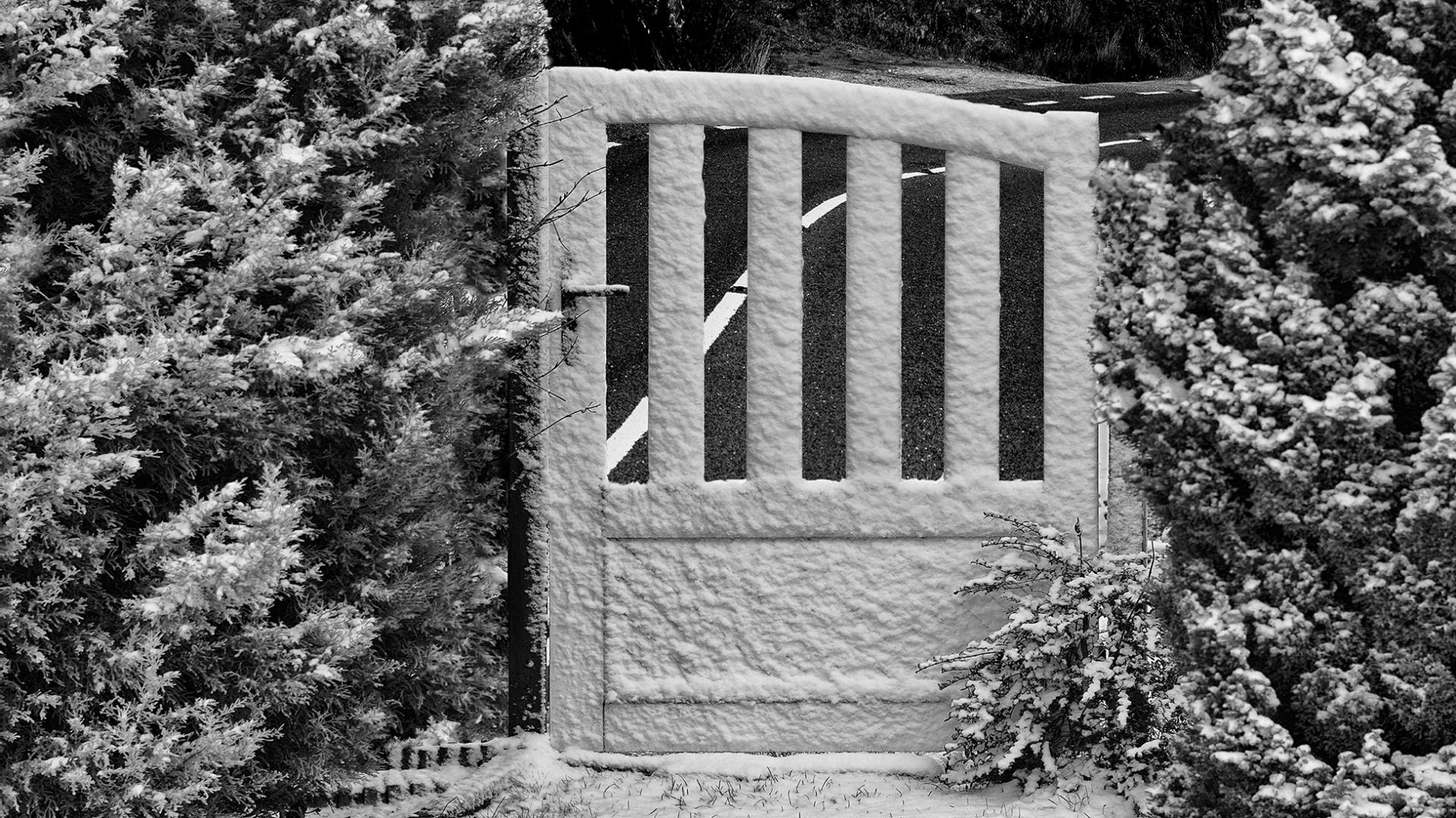 William Moulin - Sortie délicate