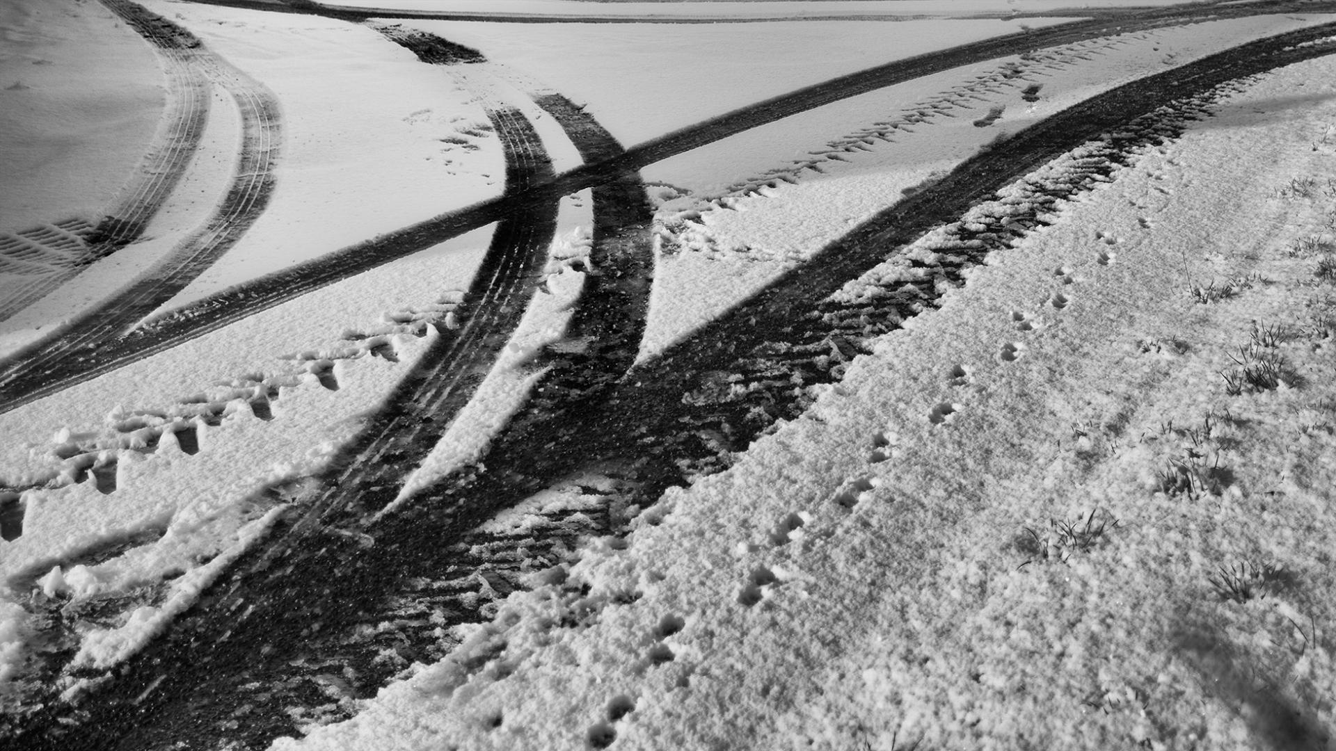 William Moulin - Sortie délicate