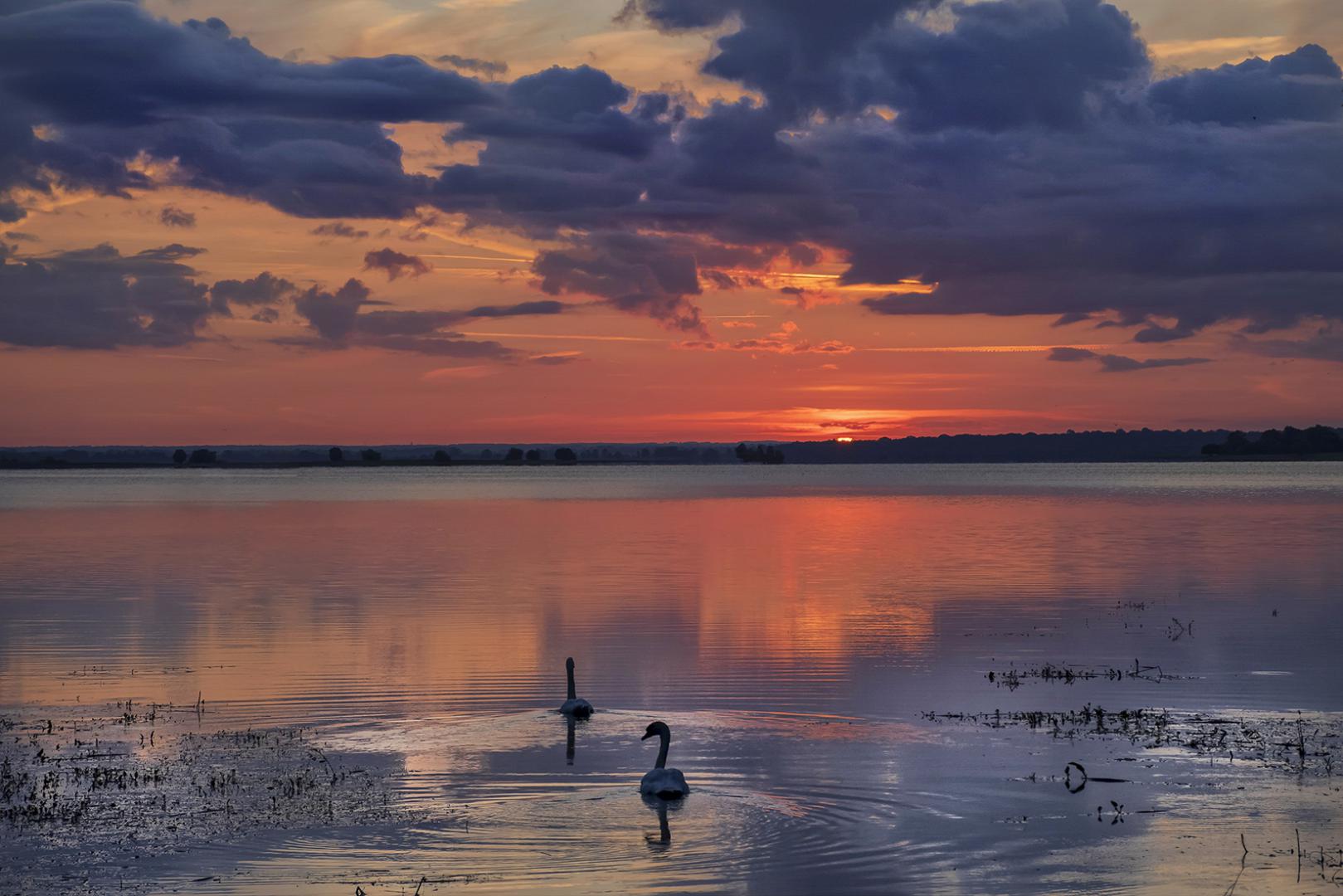 Maria Seabra - Les aubes du Der