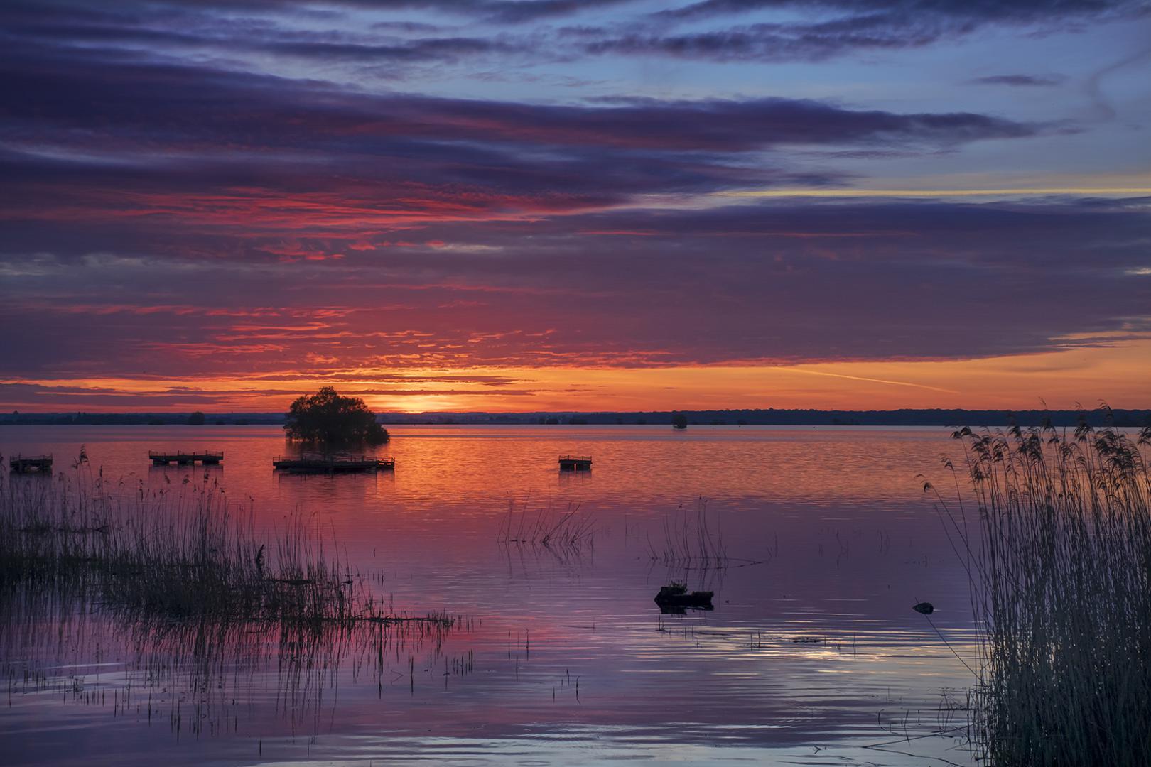 Maria Seabra - Les aubes du Der