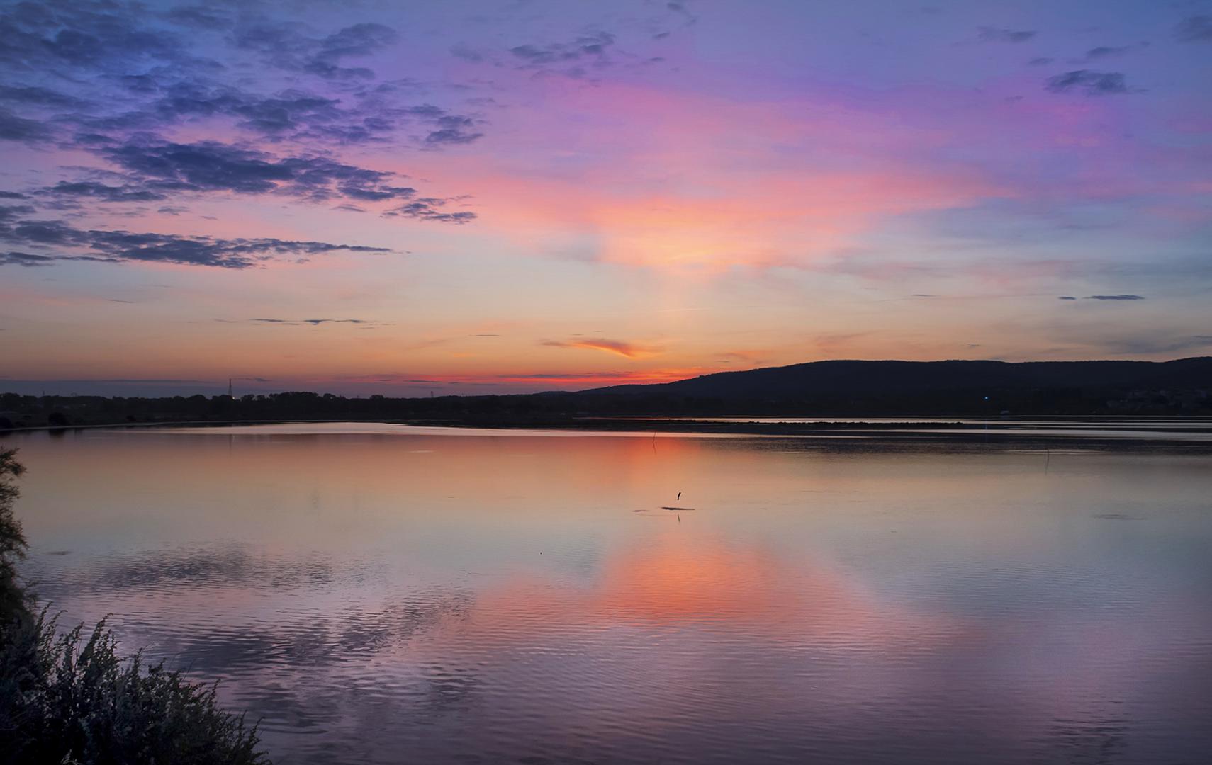 Maria Seabra - Les aubes du Der