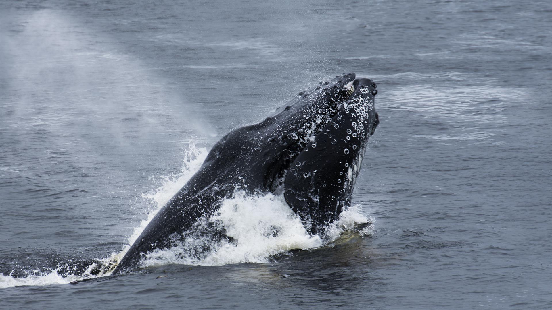 Marie-Ange Vasseur - Belle rencontre