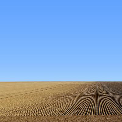 Philippe Antropius - Culture