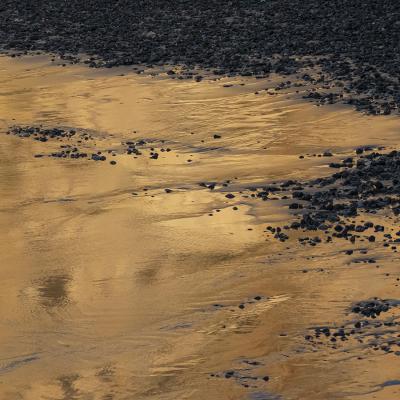 Nathalie Kalbé - Marée basse