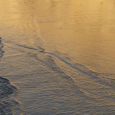 Nathalie Kalbé - Marée basse