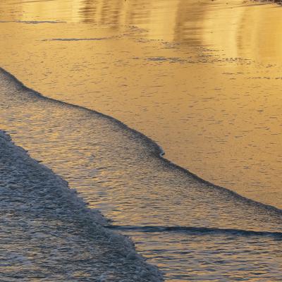 Nathalie Kalbé - Marée basse