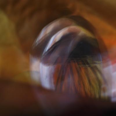 Philippe Loiseau - Chimère