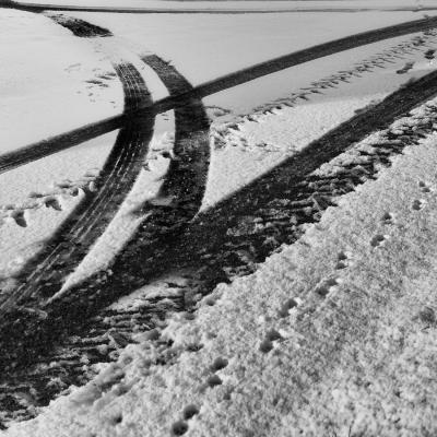 William Moulin - Sortie délicate