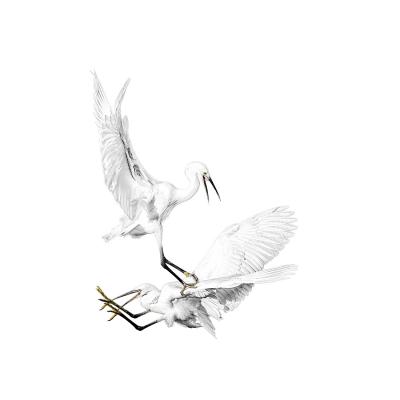 Christian Pachnicki - Aigrettes