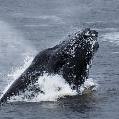 Marie-Ange Vasseur - Belle rencontre