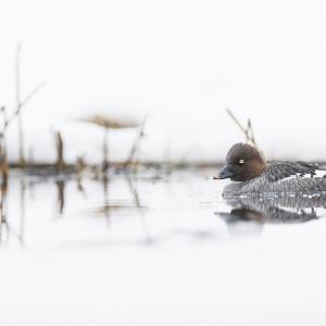 Marie-Jeanne FAUTRES