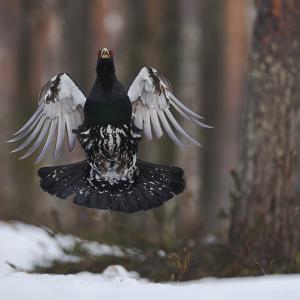 Marie-Jeanne FAUTRES