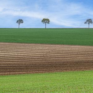 Claude Dessaint - Diplôme du Paysage